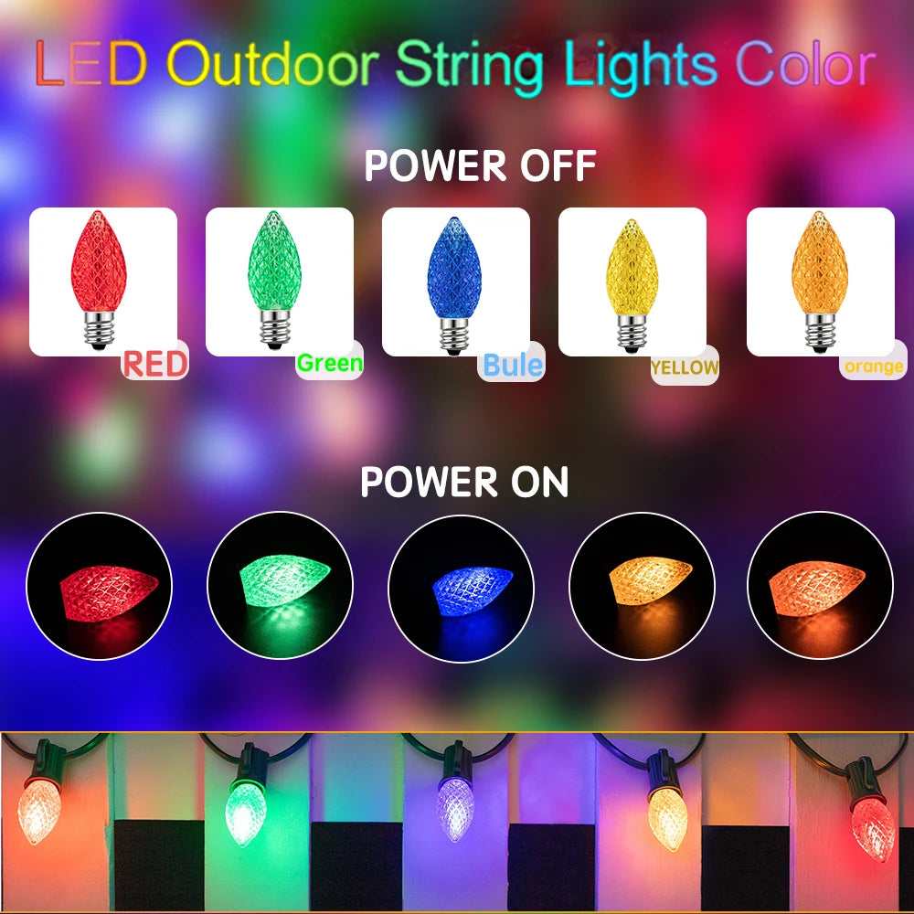Multicolour LED Bulbs (25pk)